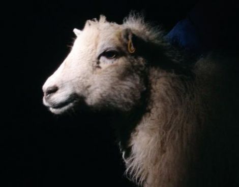 THE NEW TEN COMMANDMENTS